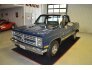 1987 Chevrolet C/K Truck 2WD Regular Cab 1500 for sale 101572965